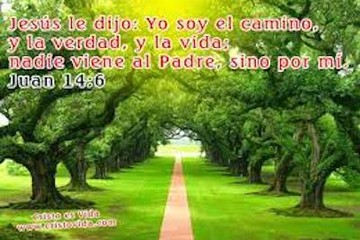 caminoverdadvida