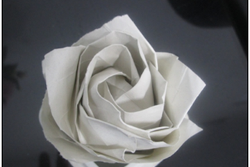florgloria